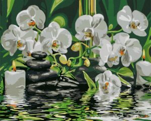 Paint by numbers „Calm near orchids“ (50x40 cm)